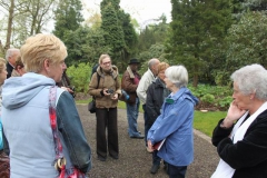 06-interessante-verhalen-door-de-gids-in-arboretum-kalmthout