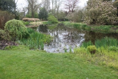08-ook-water-in-het-arboretum-kalmthout